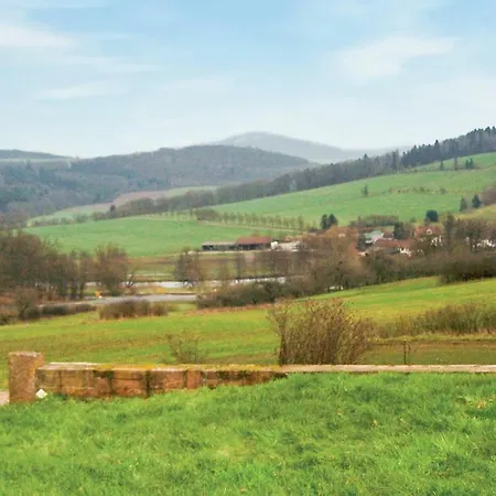 Awesome In With Wifi Apartment Gräfendorf